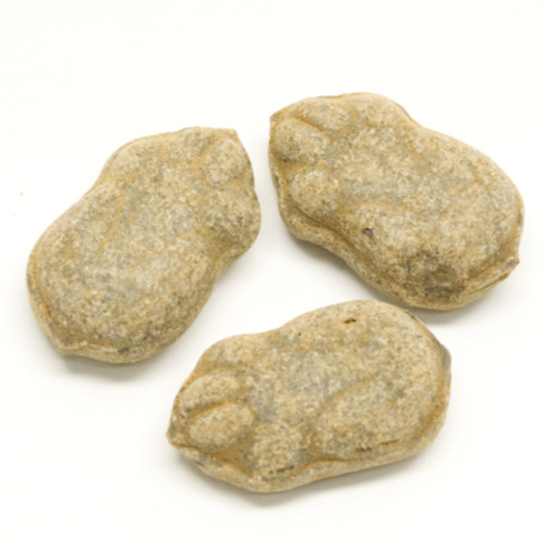 Salty Powder-Filled Toad