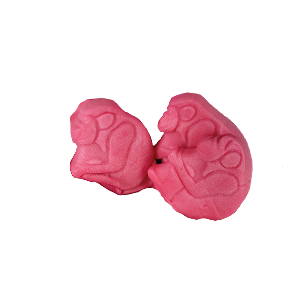 Foamy Zoo Monkey